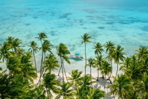 Punta Cana: Isla Saona Premium Mano Juan and exclusive beach