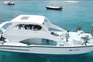 Punta Cana: Privat tur til Isla Saona med snorkling