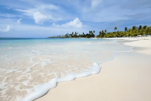 Punta Cana: Privat tur til Isla Saona med snorkling