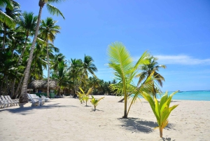 Punta cana: Island Escape to Saona • catamaran & Beach lunch