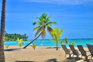 Punta cana: Island Escape to Saona • catamaran & Beach lunch