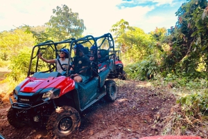 Punta Cana: passeio de buggy pela selva com visita ao Monkeyland