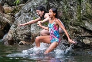 Punta Cana: Jungle Buggy Tour with Monkeyland Visit