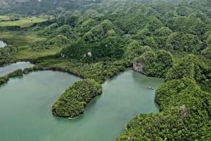 Punta Cana: Los Haitises Hike & Kayaking Mangroves