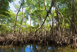 Punta Cana: Los Haitises, Montaña Redonda og Cayo Levantado