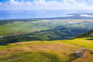 Punta Cana: Los Haitises, Montaña Redonda og Yanigua Dagstur