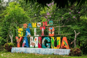 Punta Cana: Los Haitises, Montaña Redonda og Yanigua Dagstur