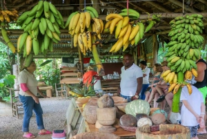 Punta Cana: wycieczka do parku Los Haitises i na górę Montaña Redonda