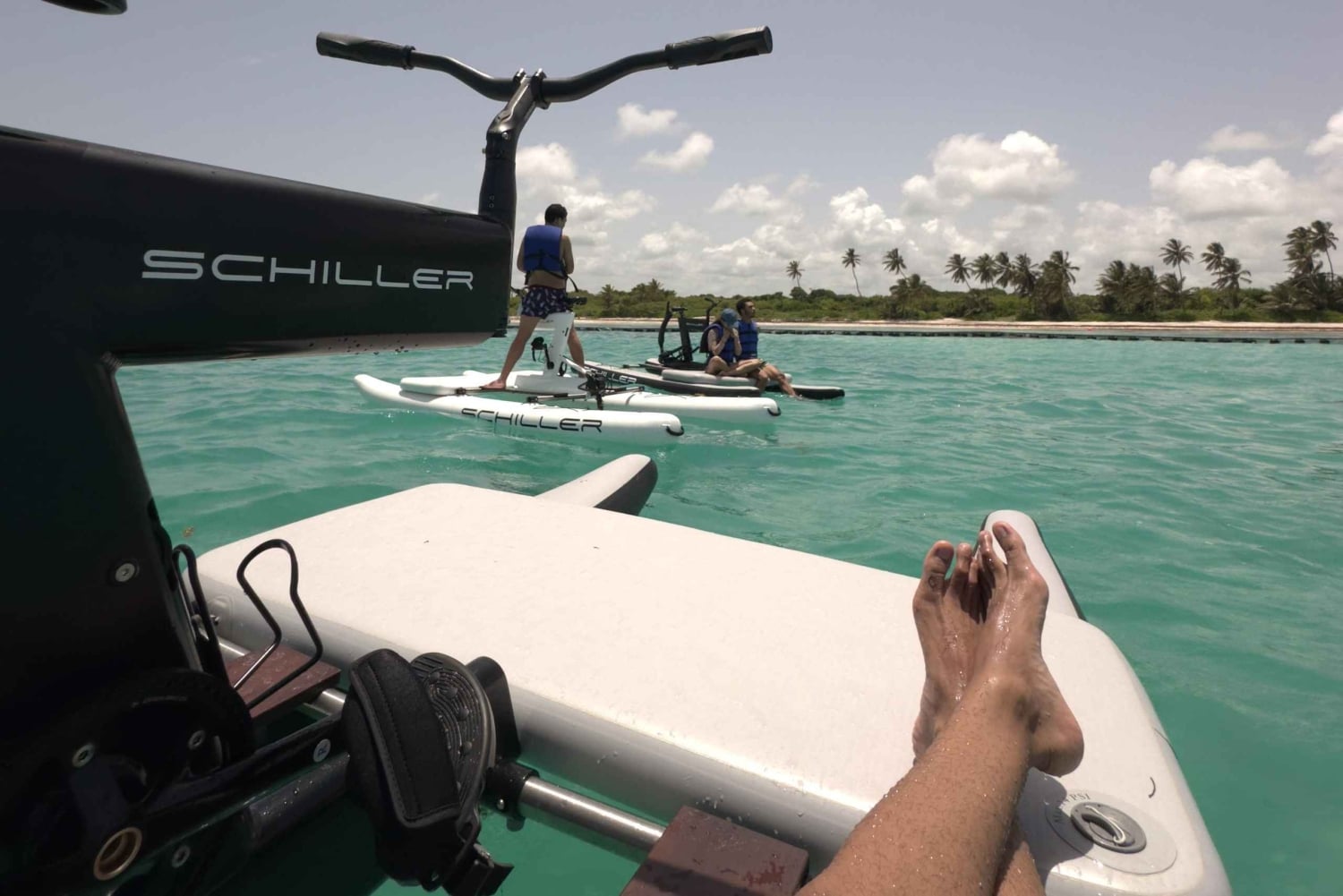 Dia de mergulho com snorkel e clube de praia de luxo em Punta Cana, em Playa Blanca