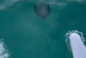 Dia de mergulho com snorkel e clube de praia de luxo em Punta Cana, em Playa Blanca