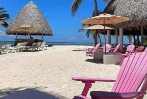 Dia de mergulho com snorkel e clube de praia de luxo em Punta Cana, em Playa Blanca