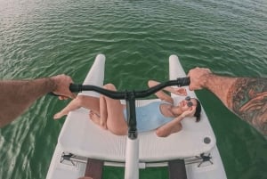 Dia de mergulho com snorkel e clube de praia de luxo em Punta Cana, em Playa Blanca