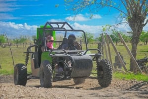 Punta Cana: Macao Beach Buggy Tour and Cenote with Transfers