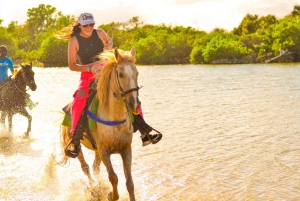 Punta Cana: Macao Beach & Forest Horseback Riding Tour