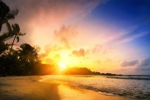 Punta Cana: Macao Beach Sunset Horseback Riding Tour