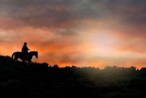 Punta Cana: Macao Beach Sunset Horseback Riding Tour