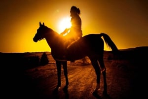 Punta Cana: Macao Beach Sunset Horseback Riding Tour