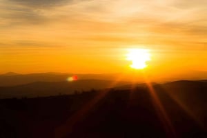 Punta Cana: Macao Beach Sunset Horseback Riding Tour