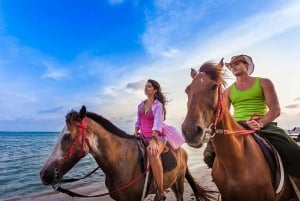 Punta Cana: Excursión a Caballo por la Playa de Macao con Traslados
