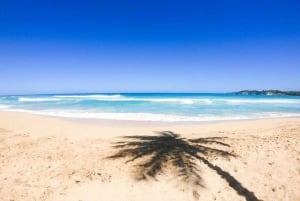 プンタカナ：マカオサーフキャンプ プライベートサーフィンレッスン（送迎付き）