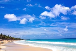 プンタカナ：マカオサーフキャンプ プライベートサーフィンレッスン（送迎付き）