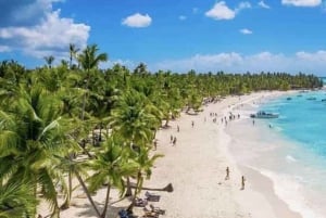 Punta Cana: Majestatyczna wyprawa katamaranem na wyspę Saona z lunchem