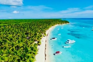 Punta Cana: Majestosa Expedição de Catamarã à Ilha Saona com Almoço