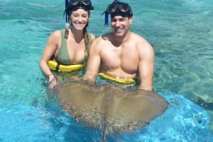 Punta Cana: Marinarium Snorkeling Cruise