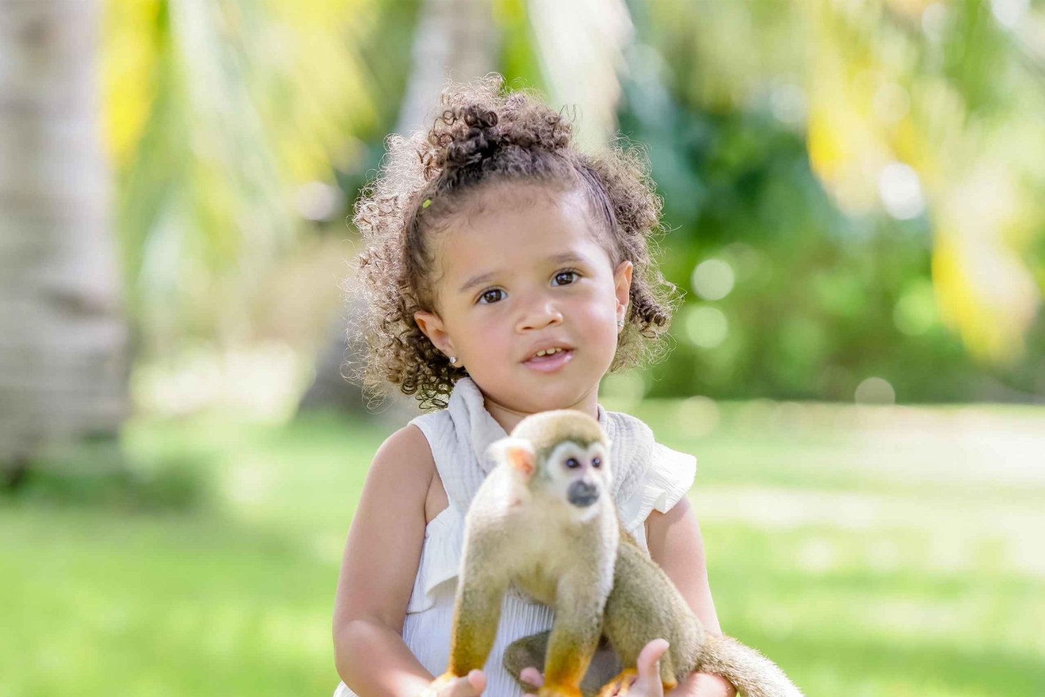 Punta Cana: Monkey House By Jhoraji mit Abholung vom Hotel