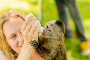 Punta Cana: Monkey House ved Jhoraji med henting på hotell