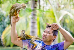 Punta Cana: Monkey House ved Jhoraji med henting på hotell