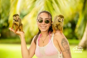 Punta Cana: Monkey House Tour