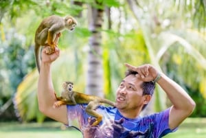 Punta Cana: Monkey House Tour