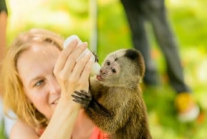 Punta Cana: Monkey House Tour