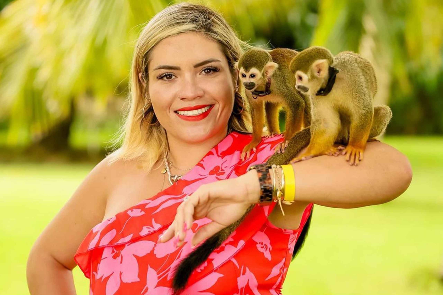 Punta Cana: Monkey Houses Private Tour
