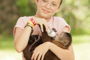 Punta Cana: Monkey Houses Private Tour