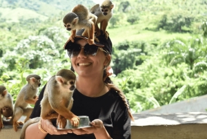 Punta Cana: Halvdagstur till Monkeyland