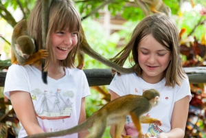 Punta Cana: Monkey Land Half-Day Safari and Plantation