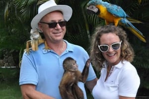 Punta Cana : Maisons des singes et parc des perroquets avec prise en charge à l'hôtel