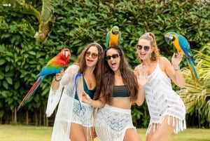 Punta Cana: Cana Cana: Apinatalot ja Papukaijapuisto, jossa on hotellin nouto