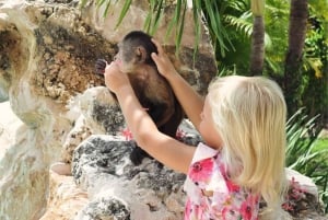 Punta Cana: Affenhäuser und Papageienpark mit Abholung vom Hotel