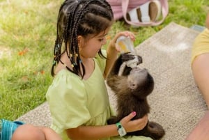 Punta Cana : Maisons des singes et parc des perroquets avec prise en charge à l'hôtel