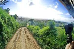Punta Cana: Montaña Redonda-tur med lunsj og 4x4-tur