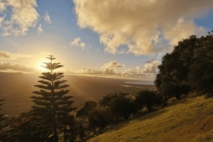 Punta Cana: Montaña Redonda y Costa Esmeralda