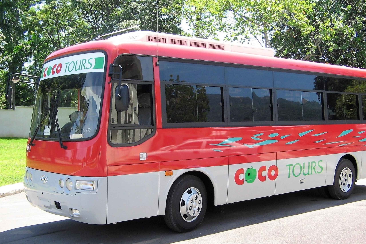 Punta Cana: One-Way Transfer from The Airport