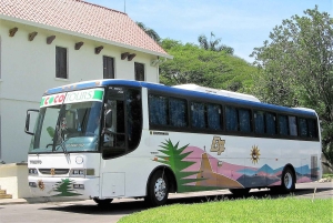 Punta Cana: One-Way Transfer from The Airport