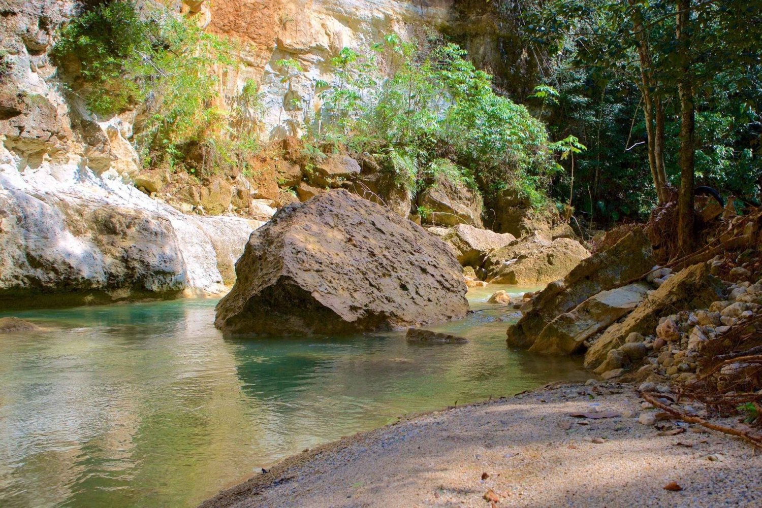 Punta Cana Paradise: Samaná Escape & El Limon Waterfall
