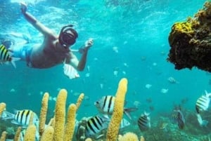 Punta Cana : Aventure en bateau et plongée avec masque et tuba
