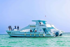Punta Cana Catamaran Party – Snorkeling, open bar e musica