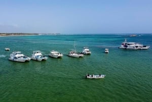 Barco de festa em Punta Cana com snorkeling e bar aberto incluídos